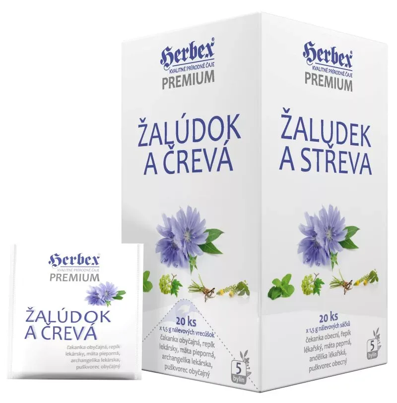 Žalúdok a črevá
